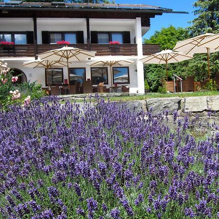 Seehof Apartments Walchensee Εξωτερικό φωτογραφία